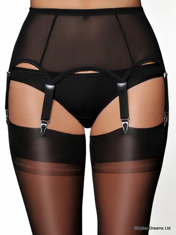 6 Strap Power Mesh  Suspender belt NDL61